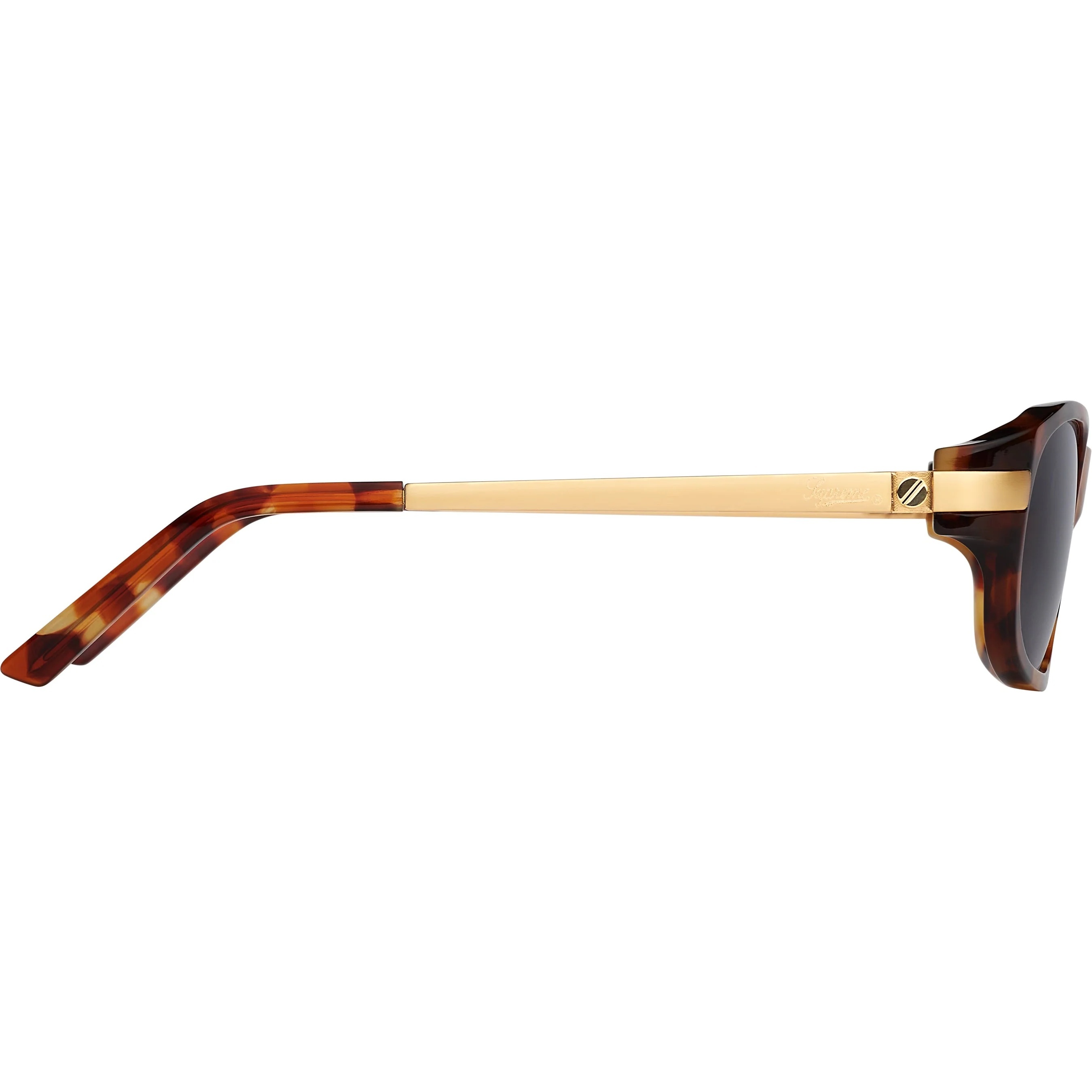 Walker Sunglasses view 2